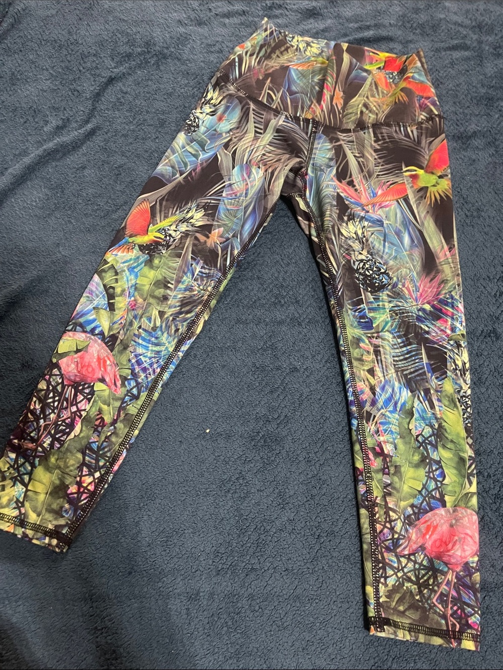 Evolution and Creation Tropical  Print Leggings - Black Multicolor